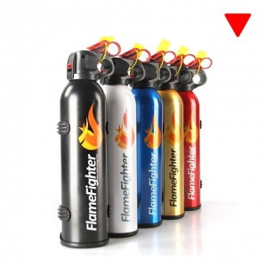 Wholesale best 0.6KG ABC Powder Mini Car Fire Extinguisher